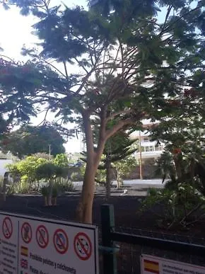 Ocean View, Wifi Free, Playa Las Americas Costa Adeje  Holiday home